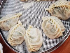 -小叶大馅饺子城