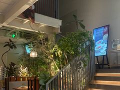 -馋嘴猫北京食堂·烤鸭·宵夜(亚运村店)