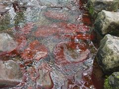 -秀沿路(地铁站)