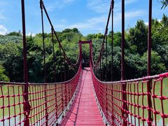 -上海吴淞炮台湾国家湿地公园