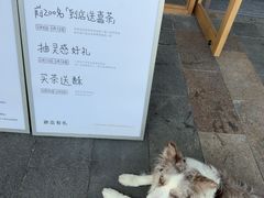 -喜茶(东莞厚街万达店)