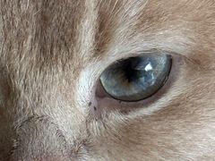 -平行世界·猫咖(首经贸店)
