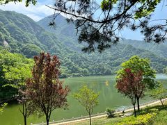 -秦岭终南山世界地质公园翠华山景区