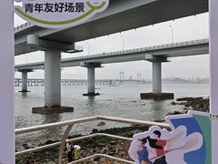 -星海湾跨海大桥