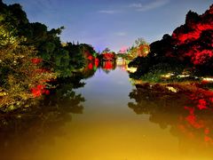 -江心屿景区