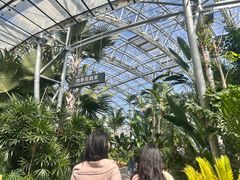 -北京植物园-展览温室