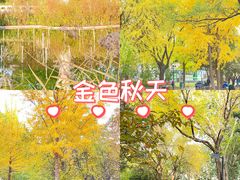 -丰台花园