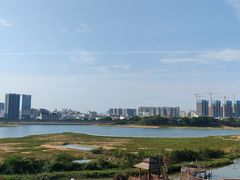 -立新湖公园