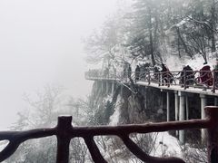 -老君山风景名胜区