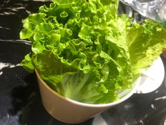 -燚青春东北泥炉烤肉(百合店)