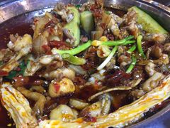 香辣田鸡锅-海岛八号龙虾烧烤田鸡(蓝天路总店)