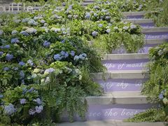 -星巴克臻选(深圳罗湖万象城店)