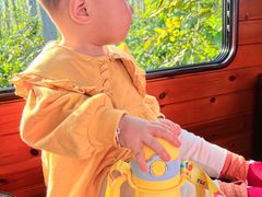 -合肥滨湖国家森林公园