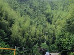 -将军关探险漂流