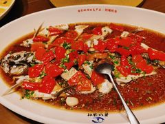 翘嘴鲌鱼-丹江渔村(望京店)