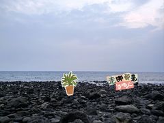 -灵山岛风景区