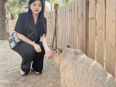 -灵玲国际马戏城