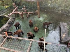 -深圳野生动物园