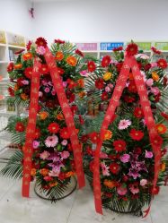 -雅奇婚庆(永乐园社区店)