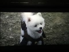 -太平洋激光影城(金沙紫荆店)