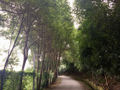-雨花胜境
