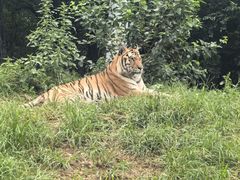 -大连森林动物园