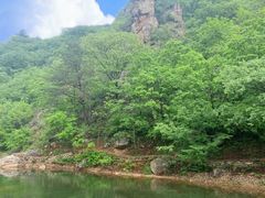 -大连天门山国家森林公园