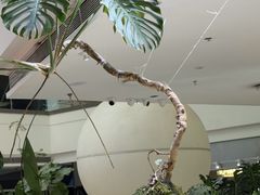 -枕水江南(铁西万象汇店)