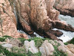 -枸杞岛