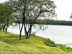 -盘龙城遗址博物院