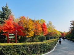 -长春市南湖公园