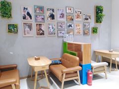 -藏猫猫咖啡主题馆(中央大道店)