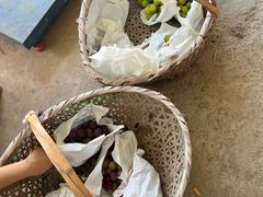 -马陆小张葡萄园农家乐