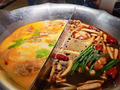 双拼鸳鸯锅-湊湊火锅·茶憩(上海合生汇店)