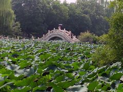 -莲池书院博物馆