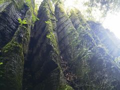 -山王坪喀斯特国家生态公园