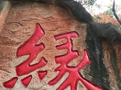 -杭州黄龙洞