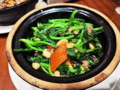 -十六蒲(桂林路店)