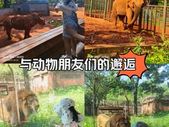 -昆明动物园
