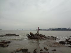 -野狸岛