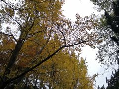 -万达茂商场(南京仙林店)