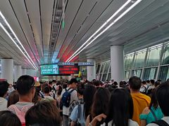 -厦门邮轮中心厦鼓码头(轮渡站)