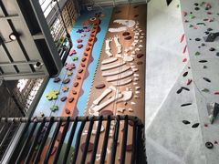 -尽峰攀岩 Acme Climbing