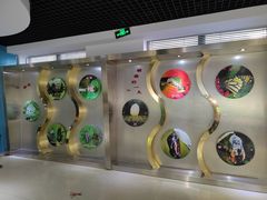 -上海昆虫博物馆