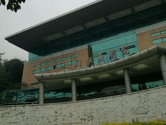 -厦门歌舞剧院