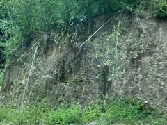 -将军关探险漂流