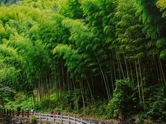 -花溪风景区