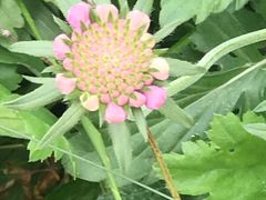 -白草畔自然风景区