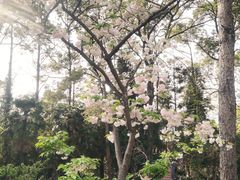 -窦圌山风景区