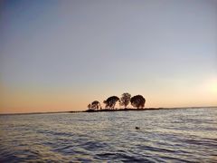 -微山湖红荷湿地景区